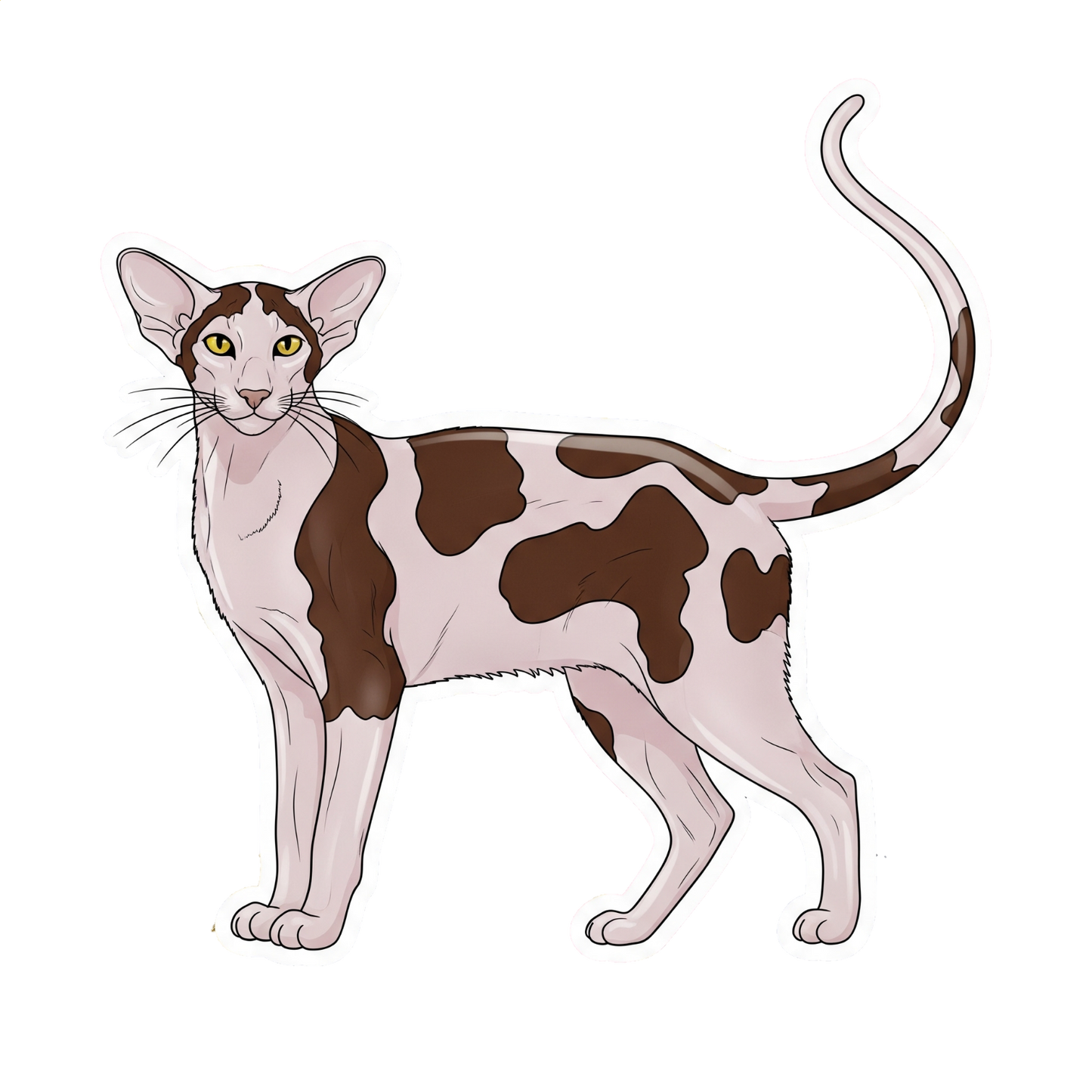 Purrfect
