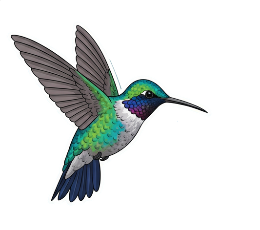 Hummingbird
